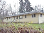 3012 S Towerline Rd Bridgeport, MI 48722 - Image 1301992