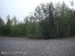 1134 S Horseshoe Lake Place Big Lake, AK 99652 - Image 1303861