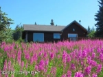 40375 Forest Drive Homer, AK 99603 - Image 1308199