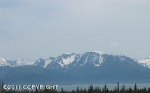 39761 Sibson Drive Homer, AK 99603 - Image 1308200