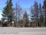 3602 Greatland Street Homer, AK 99603 - Image 1308206