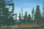 41620 Ridge Circle Homer, AK 99603 - Image 1308202