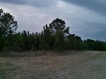 Lot 1- 5 Daisy Rd Apn# 0720002201 Loris, SC 29569 - Image 1310761