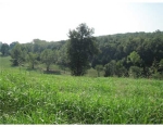 Lot 10, Chay Circle Cedarville, AR 72932 - Image 1311943