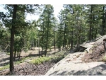 24013 Peak Drive Conifer, CO 80433 - Image 1313095