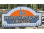 12838 Piano Meadows Drive Conifer, CO 80433 - Image 1313094