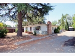 1157 STEINWAY AVENUE Campbell, CA 95008 - Image 1316211