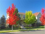 2155 Harmony Park Drive Denver, CO 80234 - Image 1316613