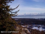 L4 B1 Suchaview Road Homer, AK 99603 - Image 1318603