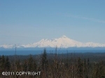 Tr 3 Forest Drive Homer, AK 99603 - Image 1318609