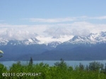 52546 E End Road Homer, AK 99603 - Image 1318604