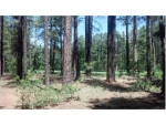 3376 Red Robin Rd. Pinetop, AZ 85935 - Image 1318778