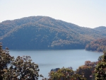 Lot 3 Hickory Knoll Circle Whitesburg, TN 37891 - Image 1324149