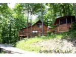 293 Birch Springs Ln Mars Hill, NC 28754 - Image 1325018