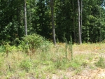 Tract C CR 7629 Brookland, AR 72417 - Image 1329979