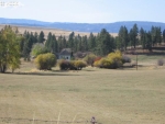 75496 Hwy 82 Elgin, OR 97827 - Image 1337109