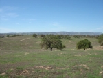 4425 Mill Rd Paso Robles, CA 93446 - Image 1340470