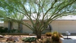 2701 West Bluefield Avenue Phoenix, AZ 85053 - Image 1342400