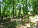 337 FRONTIER ROAD Arab, AL 35016 - Image 1343060