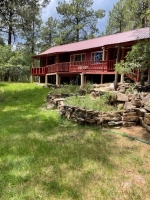 157 Berry Dr Bayfield, CO 81122 - Image 1343365