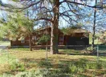 2884 Feather Ln Show Low, AZ 85901 - Image 1345021