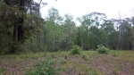 LOT 5 S CAUSEWAY Pawleys Island, SC 29585 - Image 1346195