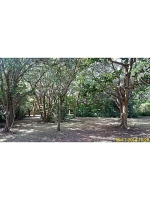 19445 SW 88 CT Miami, FL 33157 - Image 1346558