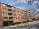 100 Clinton Ave #4 P Mineola, NY 11501 - Image 1346789