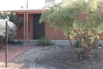 8516 E Rosewood Tucson, AZ 85710 - Image 1346867