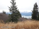 36487 Wild Haven Road Homer, AK 99603 - Image 1346949