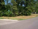 Lot 118 Red Bud Road Gassville, AR 72635 - Image 1347037