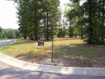 Lot 104 Magness Drive Gassville, AR 72635 - Image 1347038