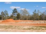 Lot 9 County Road 539 Enterprise, AL 36330 - Image 1347372