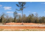 Lot 6 County Road 539 Enterprise, AL 36330 - Image 1347375