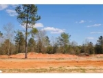 Lot 11 County Road 539 Enterprise, AL 36330 - Image 1347378