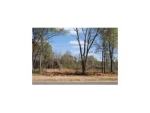 Lot 17 County Road 539 Enterprise, AL 36330 - Image 1347370