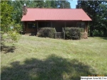 2220 C R 649 Roanoke, AL 36274 - Image 1347477