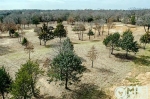 6 Colton Lane Pilot Point, TX 76258 - Image 1347750