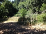 0 McPeak Rd Forestville, CA 95436 - Image 1347995