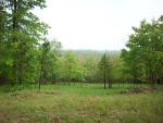 3575 CR 4160 Oark, AR 72852 - Image 1350260