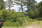 1287 BRICKYARD RD Hardeeville, SC 29927 - Image 1355442