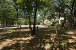 1205 Saddlebrook Argyle, TX 76226 - Image 1360333