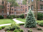 11 Alden Rd #6H Larchmont, NY 10538 - Image 1364161