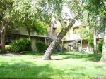 7775 Camino Colegio 33 Rohnert Park, CA 94928 - Image 1365627