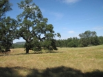 17101 Tyler Rd Fiddletown, CA 95629 - Image 1369620