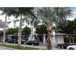 3301 NE 1 AV # H3005 Miami, FL 33137 - Image 1388452