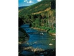 Tract 3, Reserve on East River Crested Butte, CO 81224 - Image 1392214