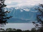 53385 Hutler Road Homer, AK 99603 - Image 1398620