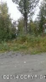 1300 N Pioneer Peak Drive Wasilla, AK 99654 - Image 1406490