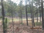 Lot 650 Brookfiel Southern Pines, NC 28387 - Image 1407432